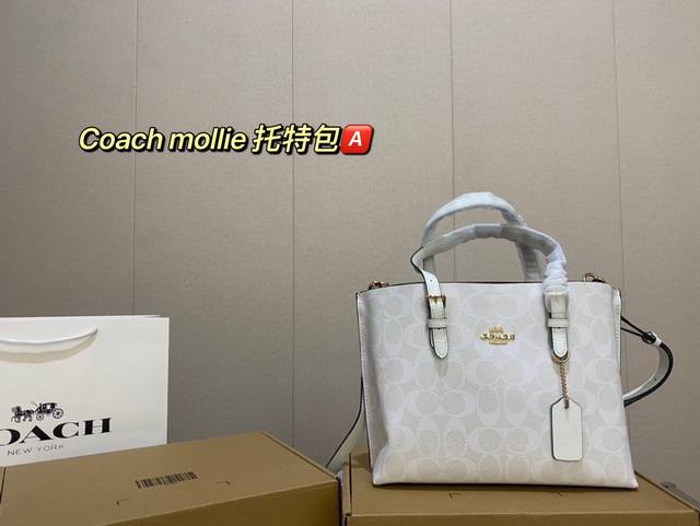 配礼盒包装coach Mollie 托特包 蔻驰 Coach代工厂最新购物袋 出货顶级品质亮泽五金logo 炒鸡火实用的款式 多用款内衬logo时尚百搭款式 超