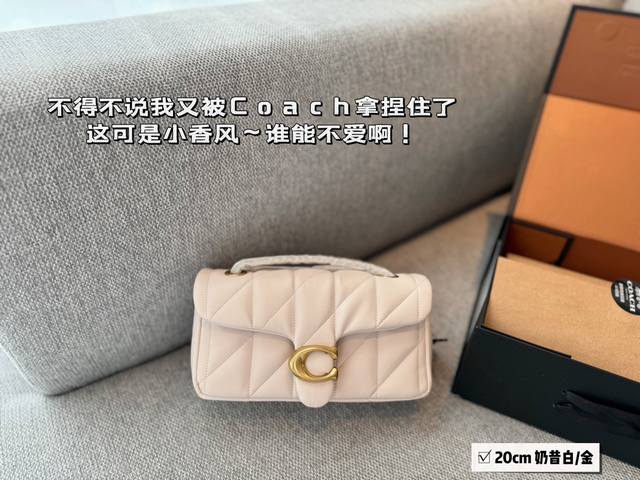 配盒子 Size 20*10Cm 百搭神器 Tabby C家 酒神新品 Quilted Tabby20 链条版tabby 这你能忍住 满满的小细节