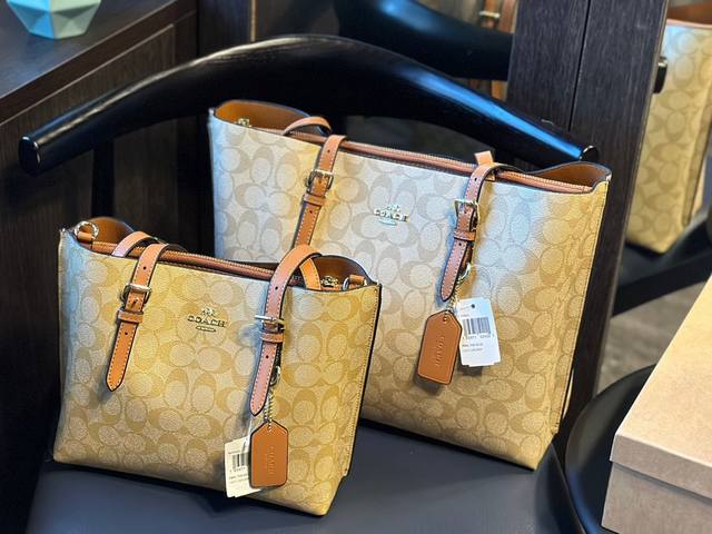 小号配盒 Coach Mollie35 25 Tote托特包 蔻驰coach代工厂最新购物袋 出货顶级品质亮泽五金logo 炒鸡火实用的款式 多用款内衬logo