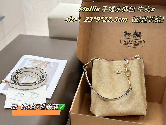 牛皮顶级版 配延长链 配折叠盒 Coach Mollie Bucket水桶包 新品mollie Bucket升级版的水桶包来咯 扁平的包身设计使包身贴合度更赞