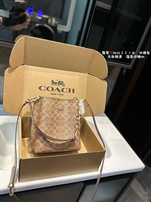 礼盒包装 Coach蔻驰水桶包 单肩斜挎双层 尺寸20*22Cm 手提斜挎 搜索coach水桶